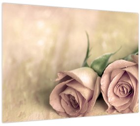 Tablou - Trandafiri fine (70x50 cm)