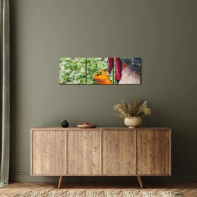 Tablou cu legume (cu ceas) (90x30 cm)