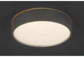 Plafonieră cu LED Rabalux 75010 Larcia, 18 W, argintiu