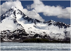 Tablou - Parcul Național Kenai Fjords (70x50 cm)