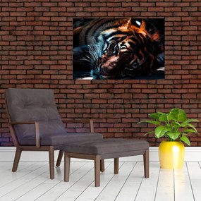 Tablou cu tigrul dormind (90x60 cm)