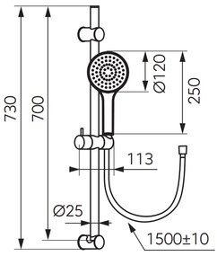 Set de dus FDesign Inula cu bara, para dus o functie si furtun, auriu lucios