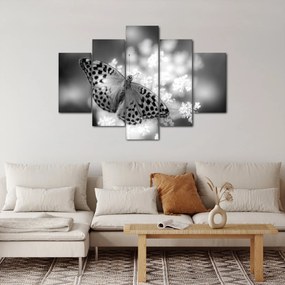 Tablou - Detailu cu fluture care polenizează floare (150x105 cm)