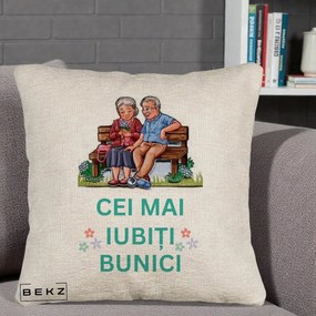 Cadou pentru Bunici - Perna Personalizata Cei Mai Iubiti Bunici Cuplu pe Banca Ilustratie, 40x40 cm, Bej Canapea, Husa Detasabila, Perna Inclusa, BEKZ®