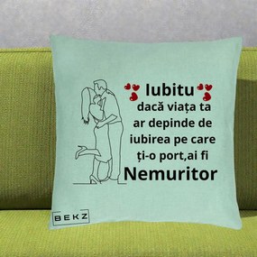 Cadou pentru Iubit - Perna Personalizata Iubitu Nemuritor cu Cuplu Line-Art si Inimi Rosii, 40x40 cm, Verde Menta, Husa Detasabila, Perna Inclusa, BEKZ®