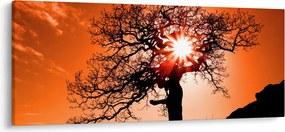 Tablou - Fag la apus de soare (120x50 cm)