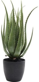 Planta decorativa Aloe 69cm