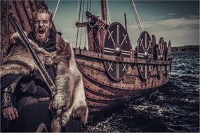 Tablou - Viking (90x60 cm)