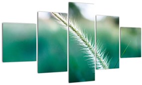 Tablou cu fir de iarbă (125x70 cm), în 40 de alte dimensiuni noi