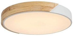 Plafonieră LED MAPLE 24W/230V albă Rabalux 3527