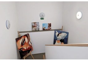 Plafonieră LED cu senzor de mișcare și de amurg LED/20W/230V Ø 29 cm albă