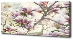 Tablou canvas Magnolie