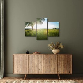 Tablou cu lunca în vară (90x60 cm)