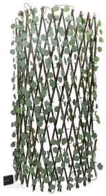 Instalație LED solară Aigostar 148xLED/2x1,2m IP65 alb cald eucalipt