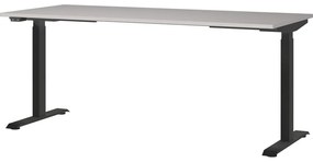 Birou reglabil cu înălțime ajustabilă electric 80x180 cm Bedano – Germania