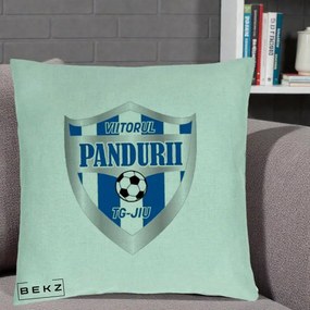 Perna Personalizata Pandurii Targu Jiu Fotbal, 40x40 cm, Verde Menta, Husa Detasabila, Perna Inclusa, BEKZ®