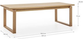 Masă de dining cu blat cu aspect de lemn de stejar 100x220 cm Rina – Marckeric