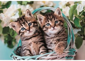 Pisică Lovely Twins Puzzle Clementoni de 60 de piese