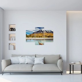 Tablou - Parcul Național Torres del Paine (90x60 cm)