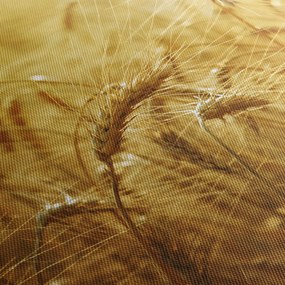 Tablou - Spice de cereale (150x105 cm)