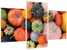 Tablou - Dovleac (90x60 cm)