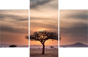 Tablou apusului de soare în Tanzania (90x60 cm)
