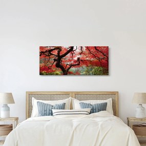 Tablou - Arțarul japonez roșu, Portland, Oregon (120x50 cm)