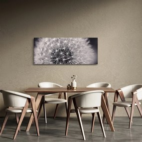 Tablou cu păpădie (120x50 cm)