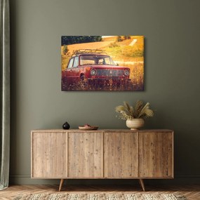 Tablou cu mașină în câmp (90x60 cm)