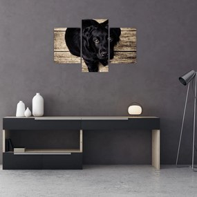 Tablou cu cățeluș negru (90x60 cm)