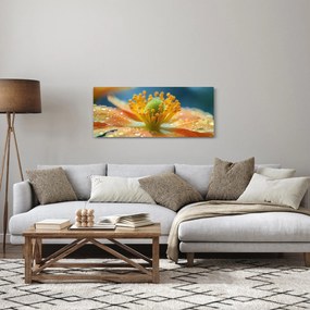 Tablou - Detaliu de floare (120x50 cm)