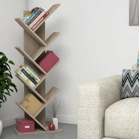 Biblioteca Hitit Walnut