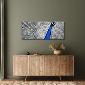 Tablou - păun albastru (120x50 cm)