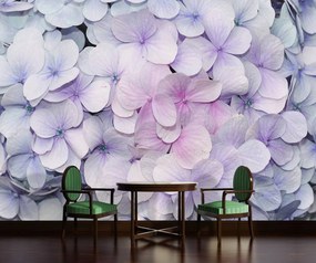Fototapet - Flori (254x184 cm)