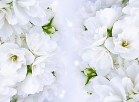 Fototapet. Flori albe de primavara. Art.01090