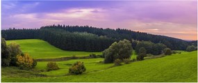 Tablou cu lunca (120x50 cm)