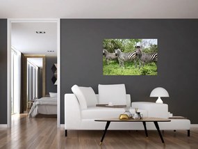 Tablou cu zebre (90x60 cm)