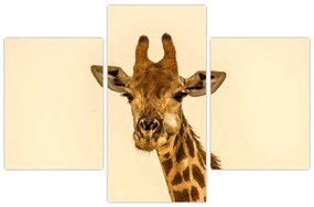 Tablou cu girafe (90x60 cm)