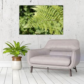 Tablou - Frunză de ferigă (90x60 cm)