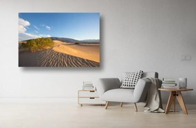 Tablou Canvas - Dune de nisip in soarele diminetii