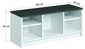 Bancheta/pantofar NEO Alb/Antracit 100 x 35 x 40 cm