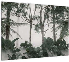 Tablou pe sticlă - Jungla în ceața dimineții (70x50 cm)