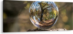 Tablou - Reflecție intr-o sferă transparentă (120x50 cm)