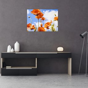 Tablou pe sticlă cu macii (70x50 cm)