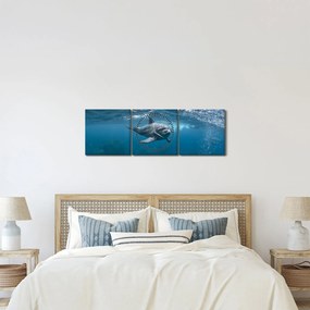 Tablou - Delfin sub apă (cu ceas) (90x30 cm)