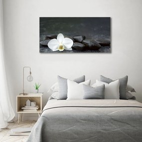 Tablou canvas Orhidee