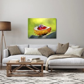 Tablou cu castani (70x50 cm)