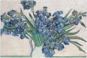 Tablou - Vincent van Gogh, Irises, reproducere (90x60 cm)