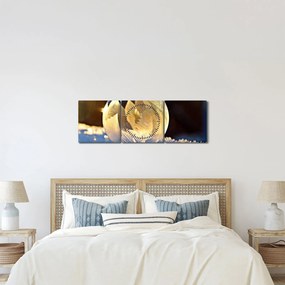 Tablou cu bulină înghețată (cu ceas) (90x30 cm)