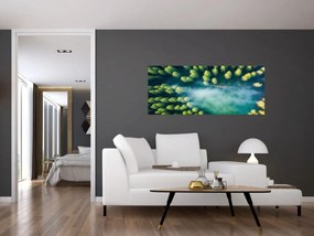 Tablou - O pădure învăluită în ceață (120x50 cm)